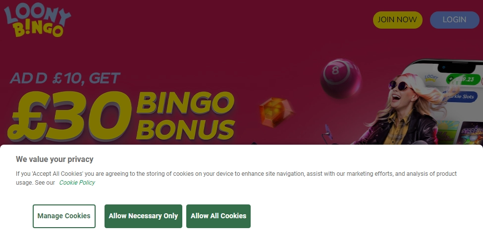 Loony Bingo Casino