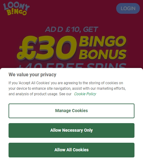 Loony Bingo Casino